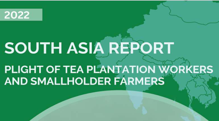 South Asia report, Plight of tea plantation workers and smallholder farmers